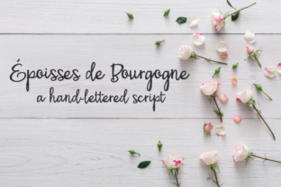 PN Époisses De Bourgogne Font for Scroll-Stopping Design